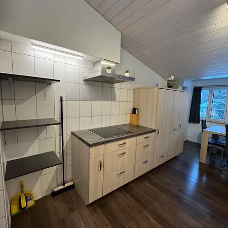 Comfortable Close To Slopes Apartment