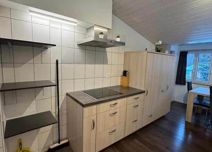 Comfortable Close To Slopes Apartment